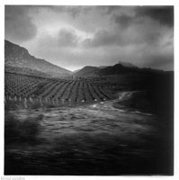 Click here to view the work of Alain Moise Arbib
